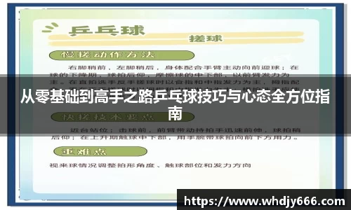 从零基础到高手之路乒乓球技巧与心态全方位指南